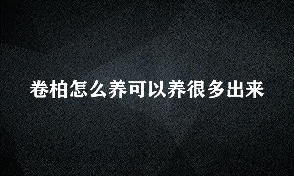 卷柏怎么养可以养很多出来
