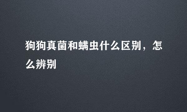狗狗真菌和螨虫什么区别，怎么辨别