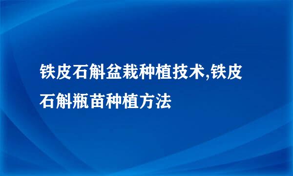 铁皮石斛盆栽种植技术,铁皮石斛瓶苗种植方法