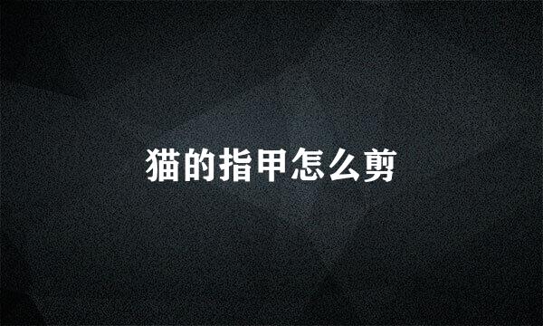 猫的指甲怎么剪