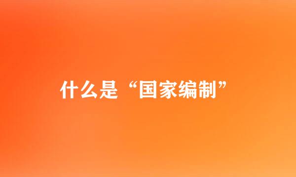 什么是“国家编制”