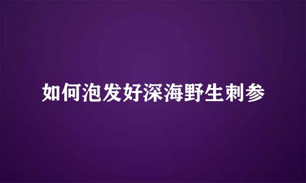 如何泡发好深海野生刺参
