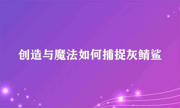 创造与魔法如何捕捉灰鲭鲨