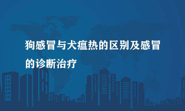 狗感冒与犬瘟热的区别及感冒的诊断治疗