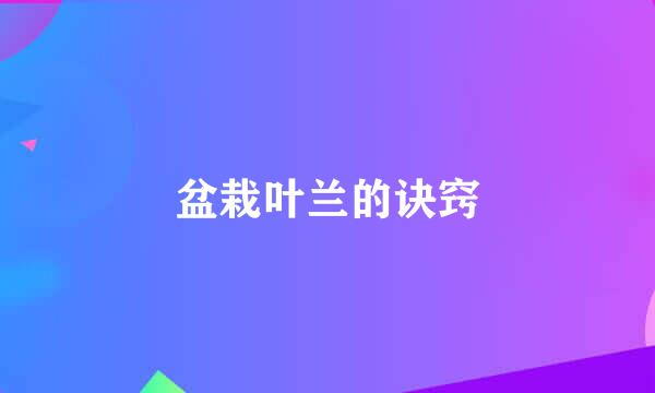盆栽叶兰的诀窍