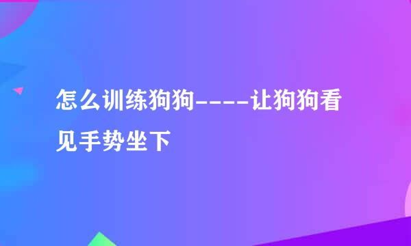 怎么训练狗狗----让狗狗看见手势坐下