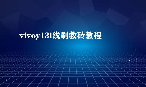 vivoy13l线刷救砖教程