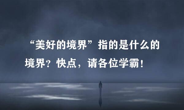 “美好的境界”指的是什么的境界？快点，请各位学霸！