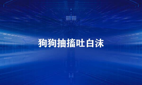 狗狗抽搐吐白沫