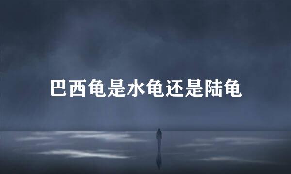 巴西龟是水龟还是陆龟