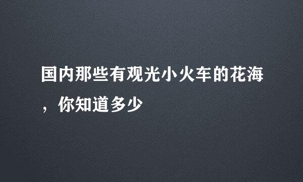 国内那些有观光小火车的花海，你知道多少