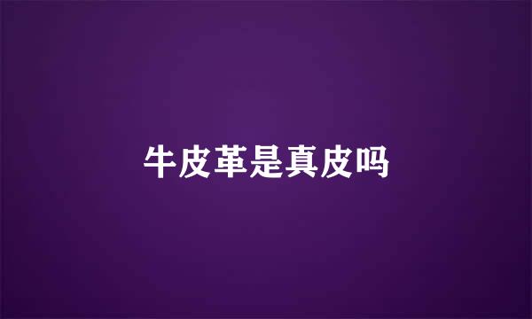 牛皮革是真皮吗