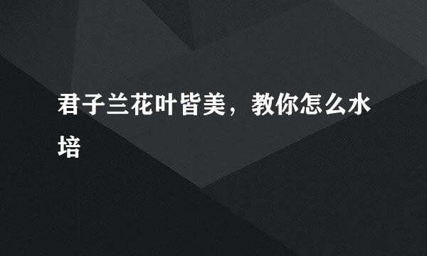 君子兰花叶皆美，教你怎么水培