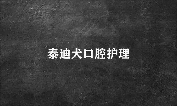 泰迪犬口腔护理