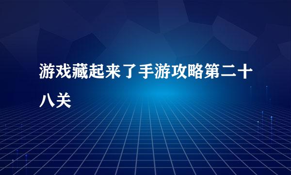 游戏藏起来了手游攻略第二十八关