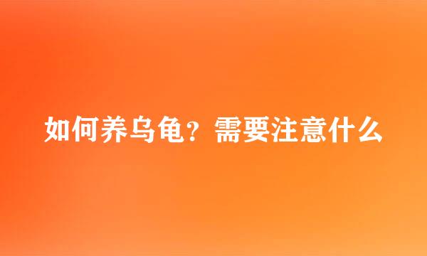 如何养乌龟？需要注意什么