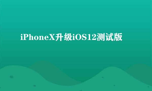 iPhoneX升级iOS12测试版