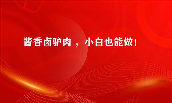 酱香卤驴肉 ，小白也能做！