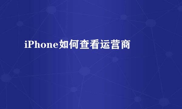 iPhone如何查看运营商