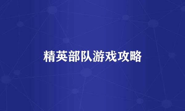 精英部队游戏攻略