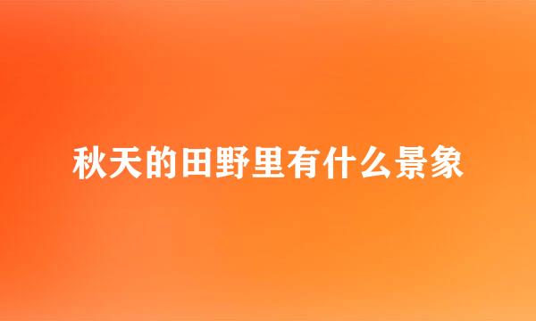 秋天的田野里有什么景象