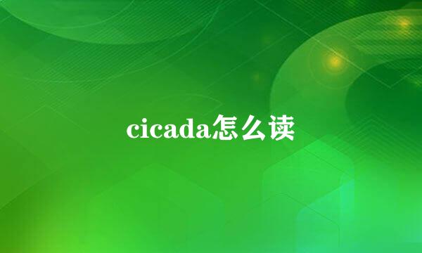 cicada怎么读