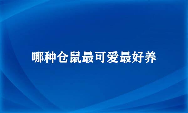 哪种仓鼠最可爱最好养