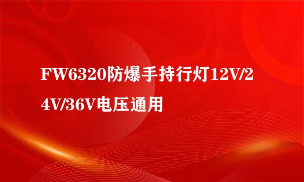 FW6320防爆手持行灯12V/24V/36V电压通用