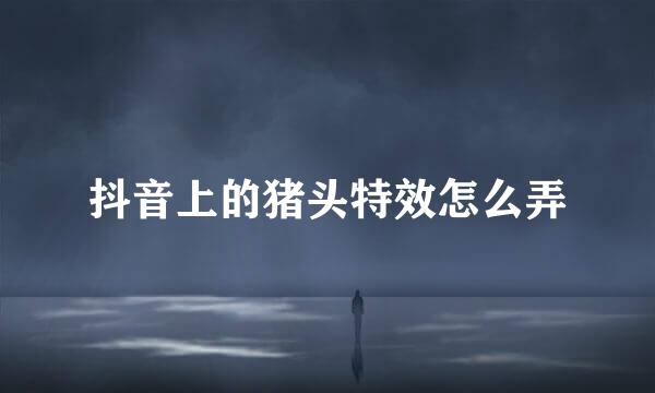 抖音上的猪头特效怎么弄