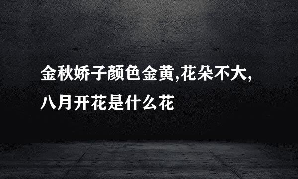 金秋娇子颜色金黄,花朵不大,八月开花是什么花