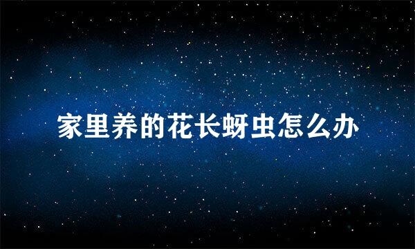 家里养的花长蚜虫怎么办