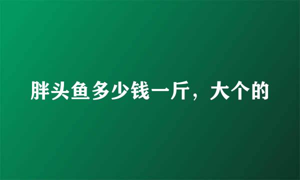 胖头鱼多少钱一斤，大个的