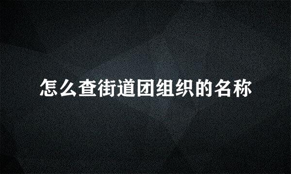 怎么查街道团组织的名称