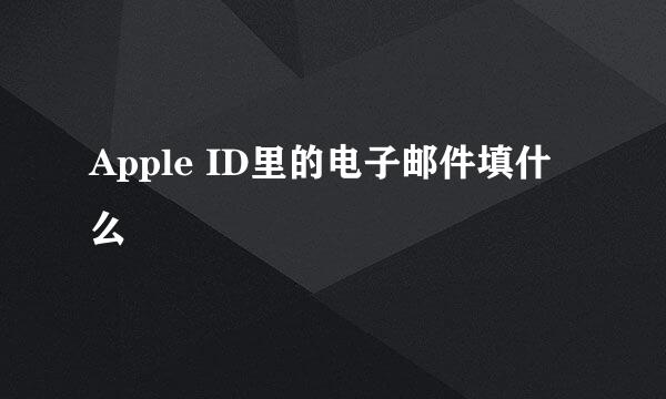 Apple ID里的电子邮件填什么