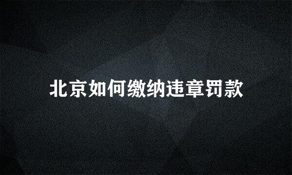 北京如何缴纳违章罚款