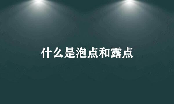 什么是泡点和露点