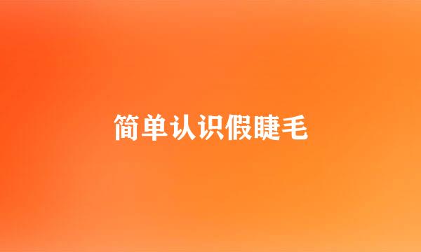 简单认识假睫毛