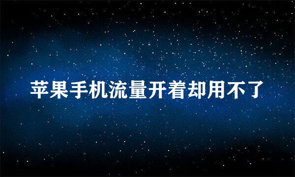 苹果手机流量开着却用不了