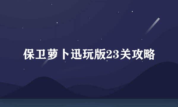 保卫萝卜迅玩版23关攻略