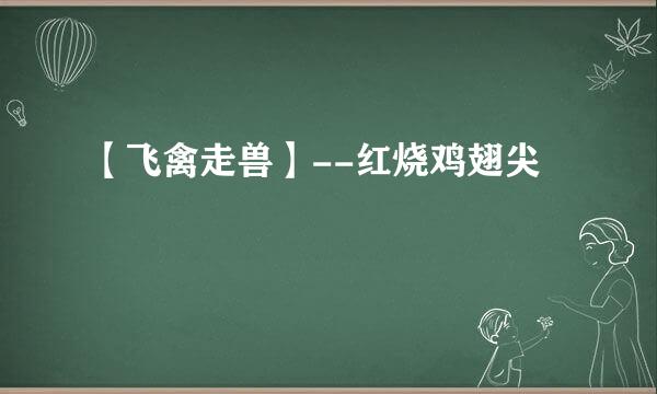 【飞禽走兽】--红烧鸡翅尖
