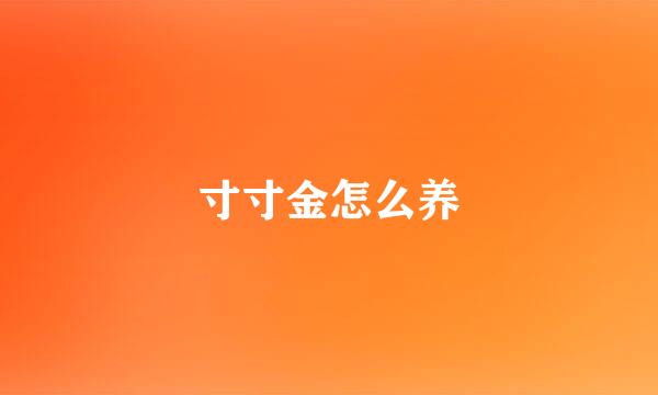 寸寸金怎么养