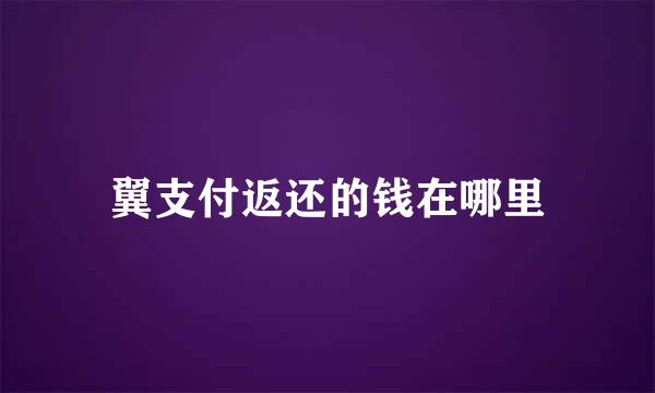 翼支付返还的钱在哪里