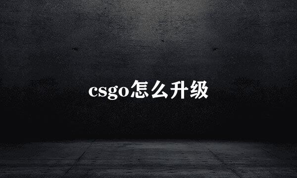 csgo怎么升级