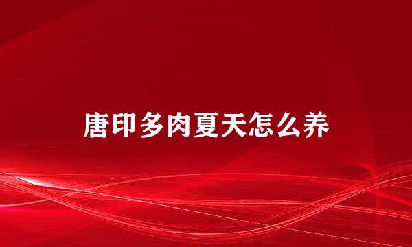 唐印多肉夏天怎么养