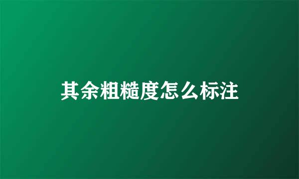 其余粗糙度怎么标注