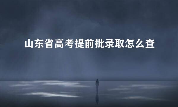 山东省高考提前批录取怎么查