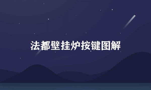 法都壁挂炉按键图解