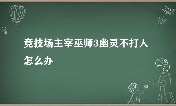 竞技场主宰巫师3幽灵不打人怎么办