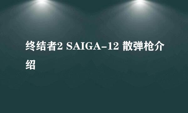 终结者2 SAIGA-12 散弹枪介绍