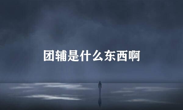 团辅是什么东西啊